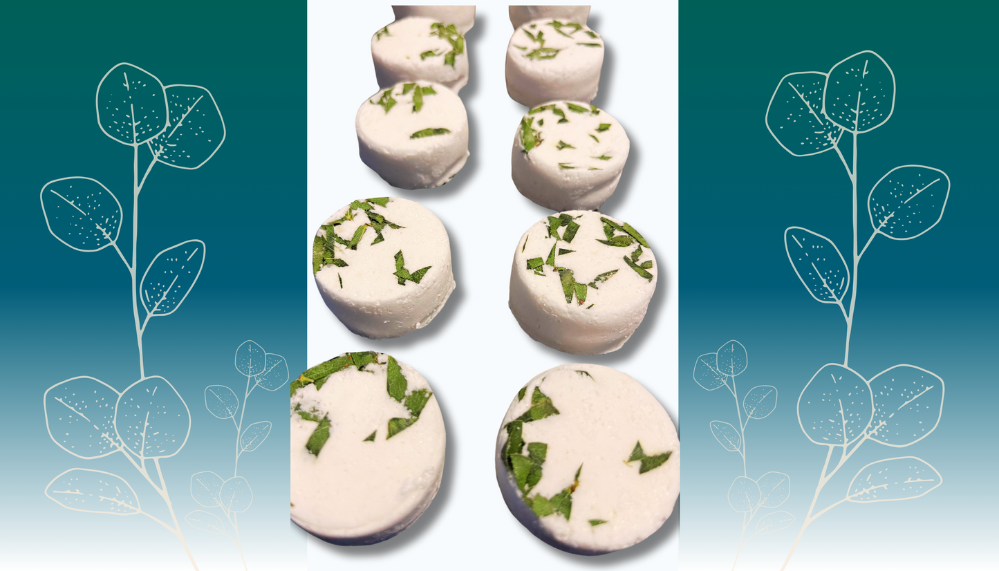 Eucalyptus Shower Steamers (4 pk)